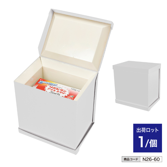 持ち運びアイススラリーケース n26-60