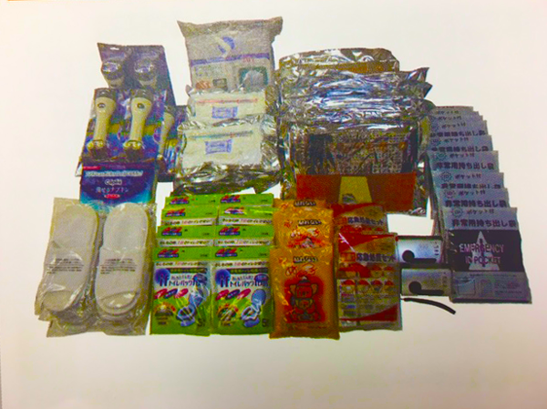 10人用備蓄セット[BSTS3216]