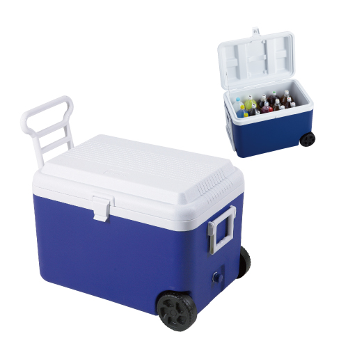 HO-248 ビッグクーラーボックス６０Ｌ