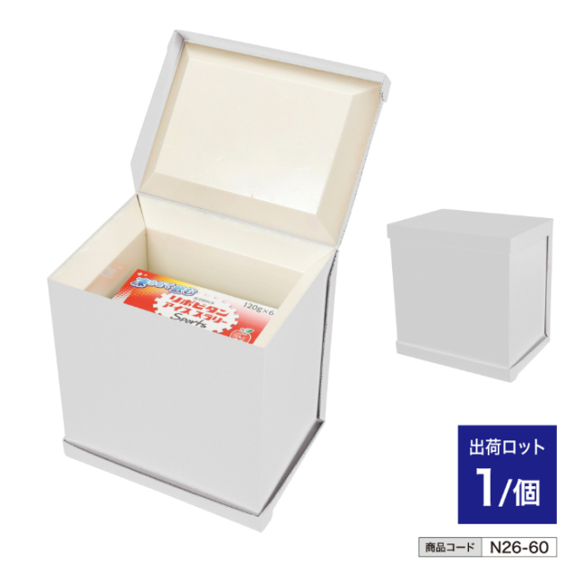 持ち運びアイススラリーケース n26-60