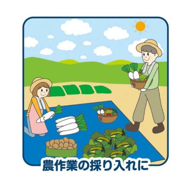 フローバル画像