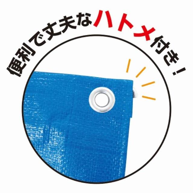 フローバル画像