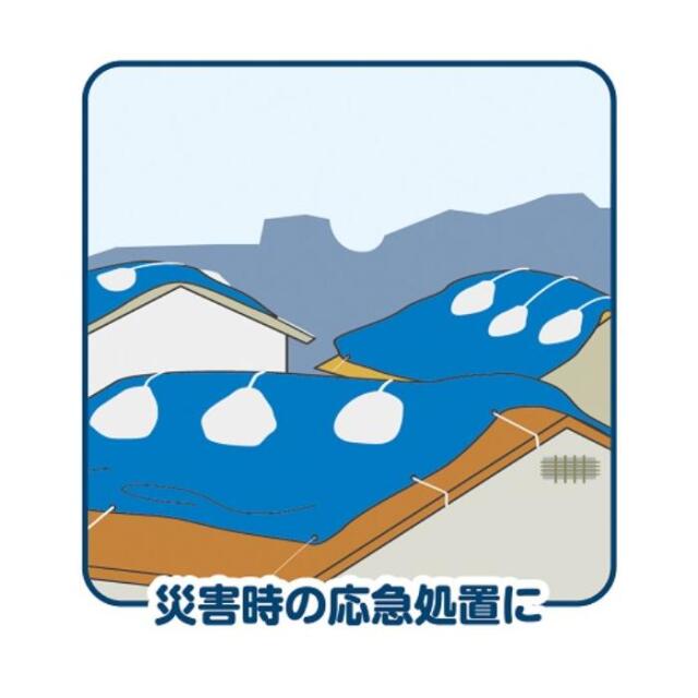 フローバル画像