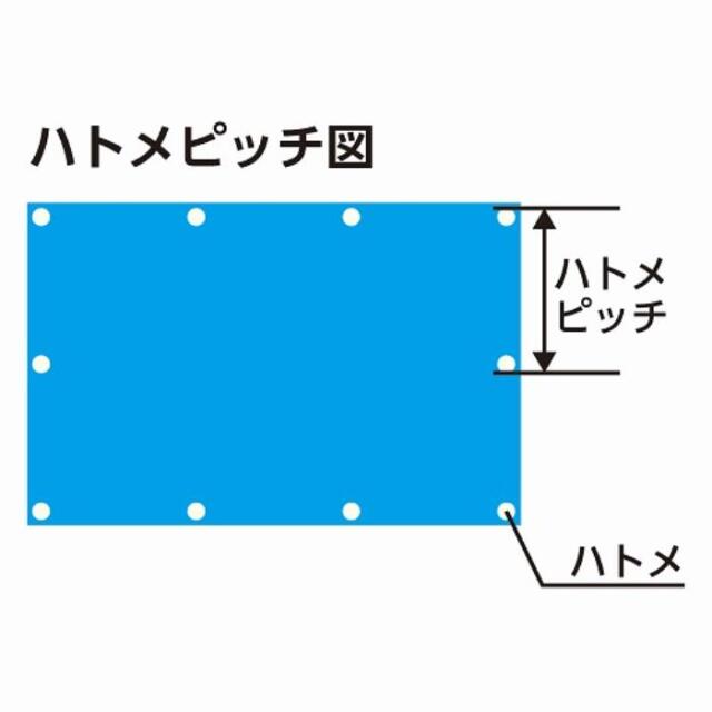フローバル画像