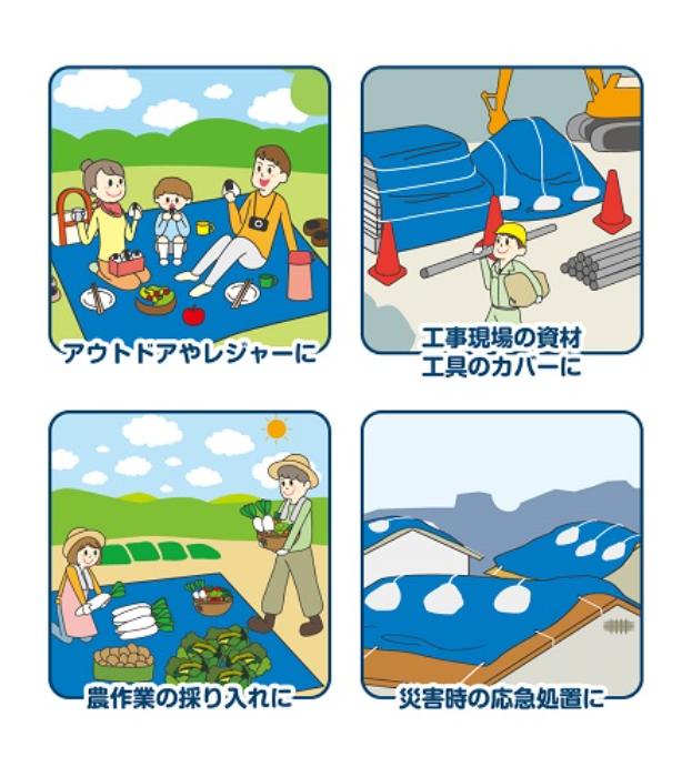フローバル画像