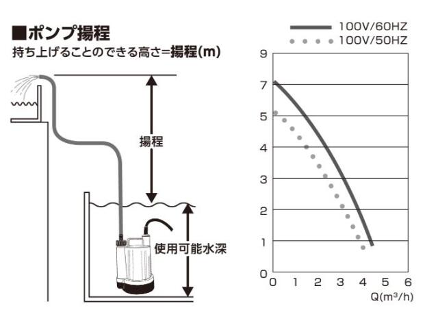 フローバル画像