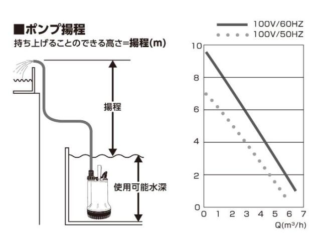 フローバル画像