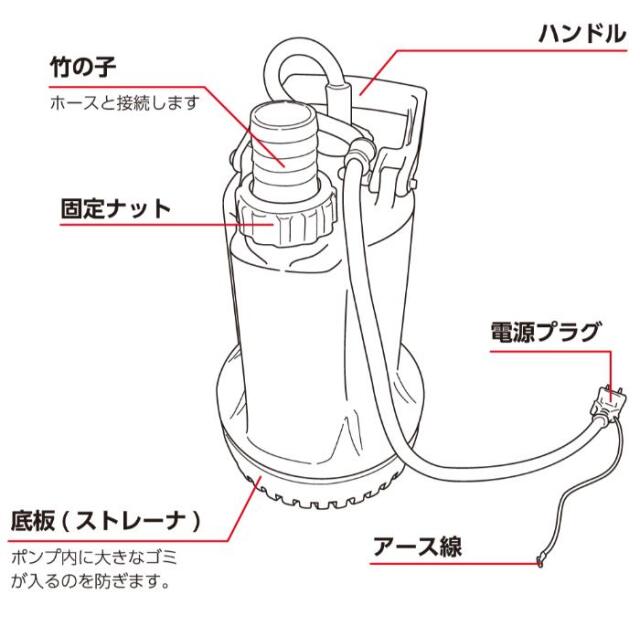 フローバル画像
