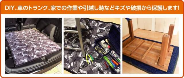 フローバル画像