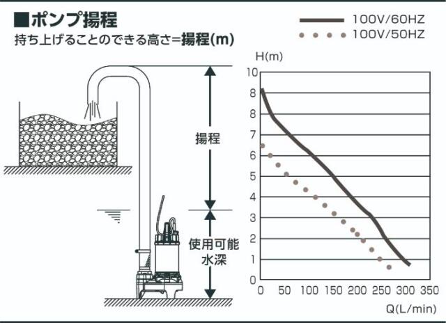 フローバル画像
