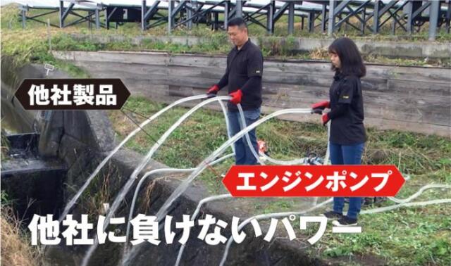 フローバル画像