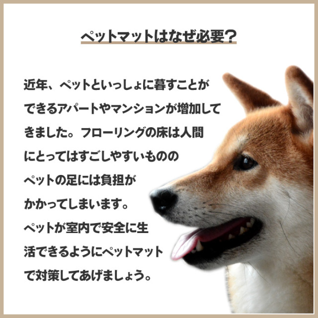 工事資材コム｜ペットマット 防滑防臭防水マット 45×60cm INSF-203BE