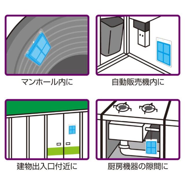 水上
