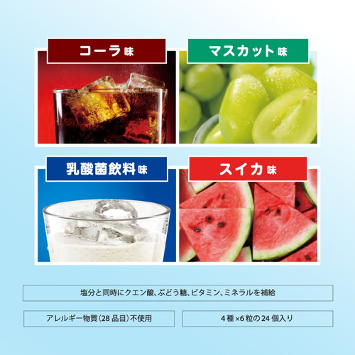 工事資材コム | 【法人・個人事業主様限定】 カムカムタブレッツ mini