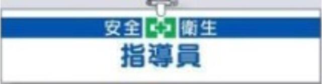 ヘリア製腕章「指導員」 tks-709