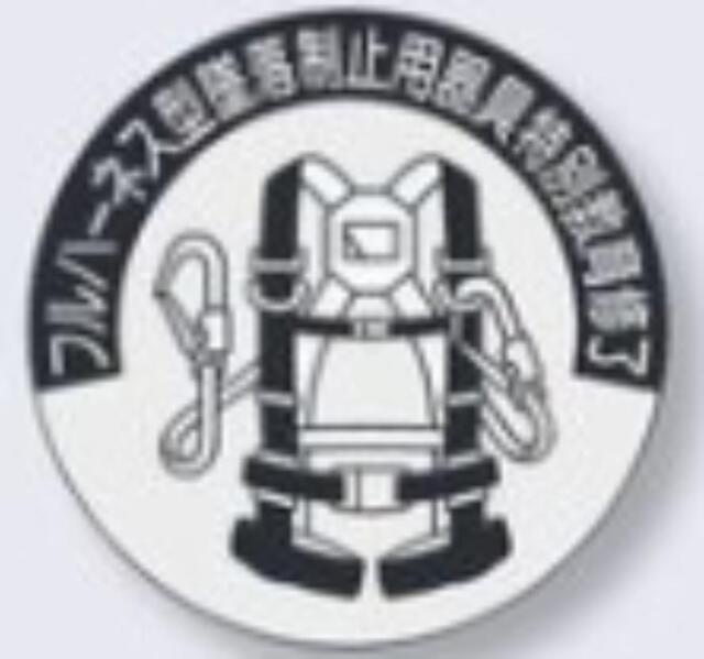 ヘルメット用ステッカー 資格者「フルハーネス型墜落制止用器具特別教育修了」 tks-851-a