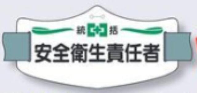 e腕章「安全衛生責任者」ロングゴムバンド付 tks-we-1l