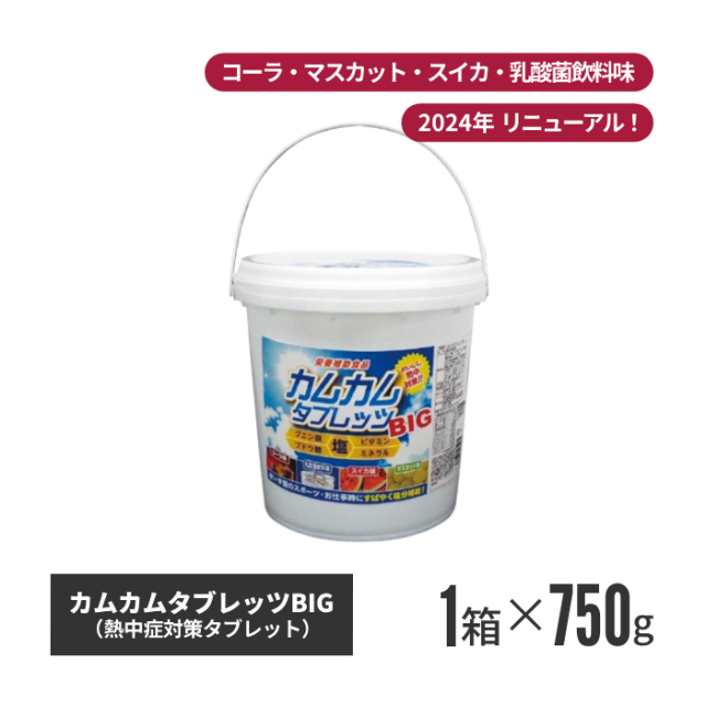 【法人・個人事業主様限定】カムカムタブレッツBIG(2024年版) n24-54