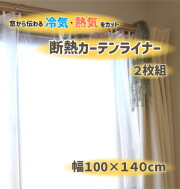 【法人・個人事業主様限定】断熱カーテンライナー クリア 100cm×140cm×2P dcl-cn-1 2点セット