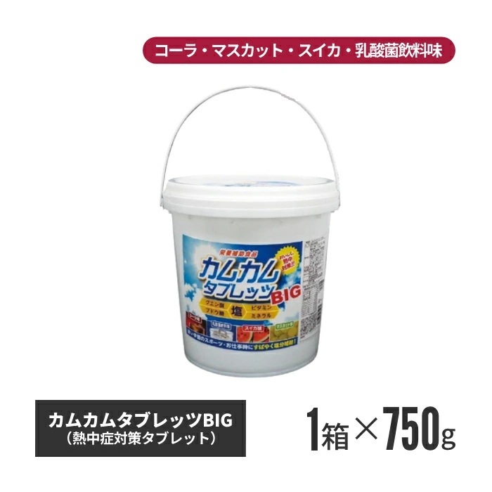 【法人・個人事業主様限定】カムカムタブレッツBIG 6個セット n24-54-06