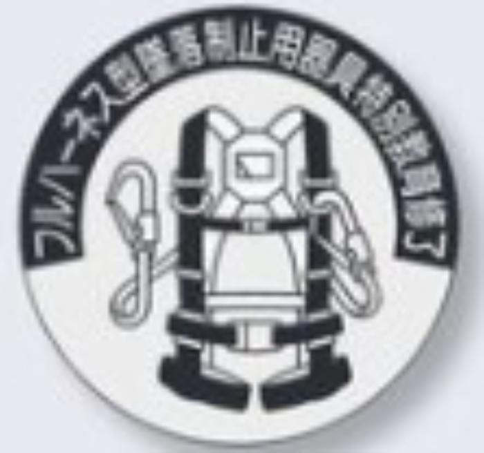 ヘルメット用ステッカー 資格者「フルハーネス型墜落制止用器具特別教育修了」 tks-851-a