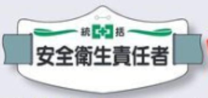 e腕章「安全衛生責任者」ロングゴムバンド付 tks-we-1l