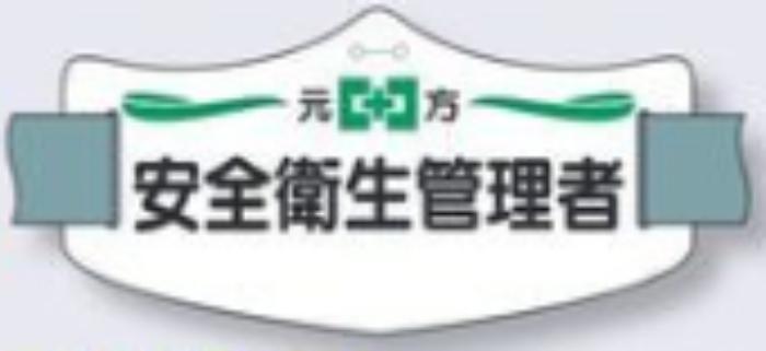 e腕章「安全衛生管理者」ロングゴムバンド付 tks-we-2l