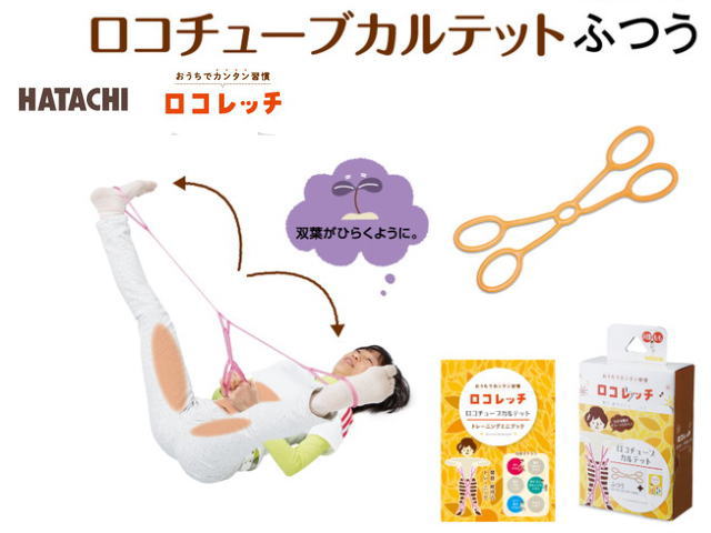 健康フィットネス トレーニング用品 hatachi ロコレッチ ロコチューブカルテットふつう　NH3021