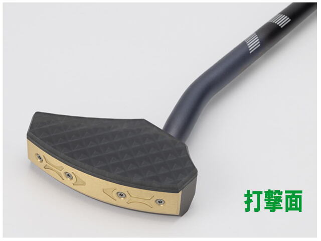 ハンバーバランスイーグルクラブの打撃面　