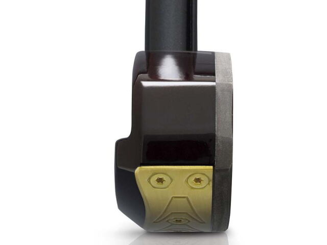 2026モデル】キング花梨ゴールドマスター （ハタチ/BH2897）グラウンド