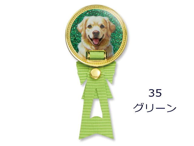 カラーグリーン　ゴールデンレトリバー