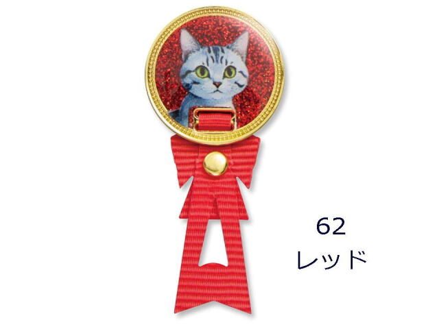 カラーレッド　アメリカンショートヘアー