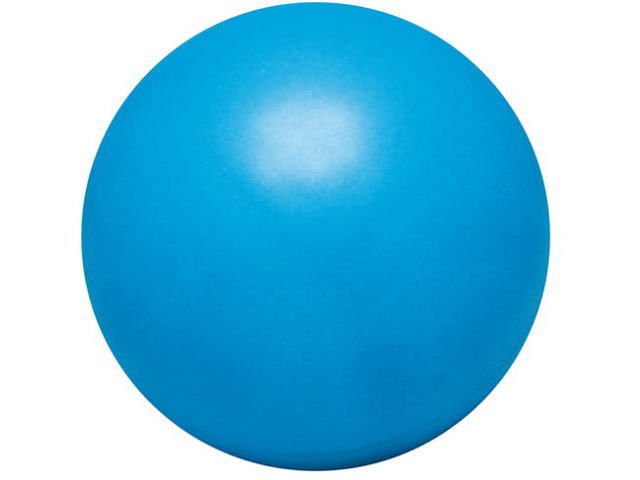 バランスポール　本体　サイズ20cm