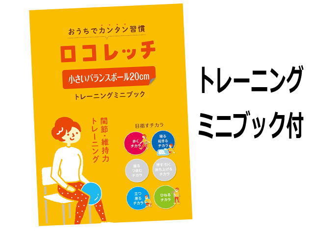 小さいバランスボール 商品ミニガイドブック