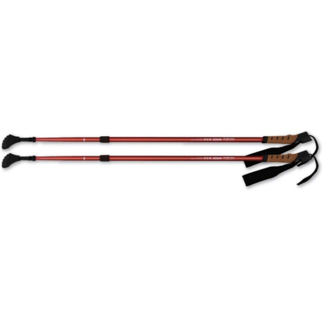 ★新品 REIアルミポール 2本セット★ 200-248cm ☆新品 REIアルミポール 2本セット☆ 200-248cm