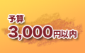 予算3000円以内