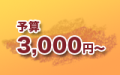 予算3000円から