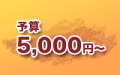 予算5000円から