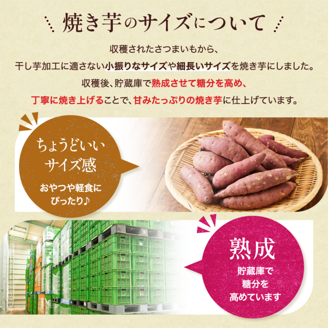 茨城県産　紅はるか　冷凍焼き芋 6kg 絶妙な甘さです！ 焼き芋 冷凍 500g 茨城県産 紅はるか ミニサイズ 国産 レンジで
