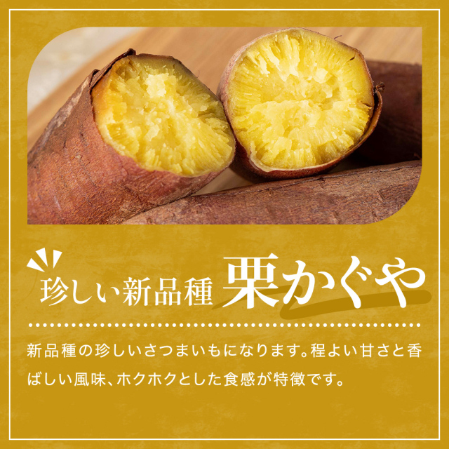 幸田商店 茨城県産 栗かぐや 冷凍 焼き芋