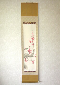 掛け軸　紅梅に鴬◆藤田春穂 (真筆・新品) 九寸立 共箱・タトウ箱付