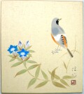 色紙　リンドウにジョウビタキ◆梅木信作