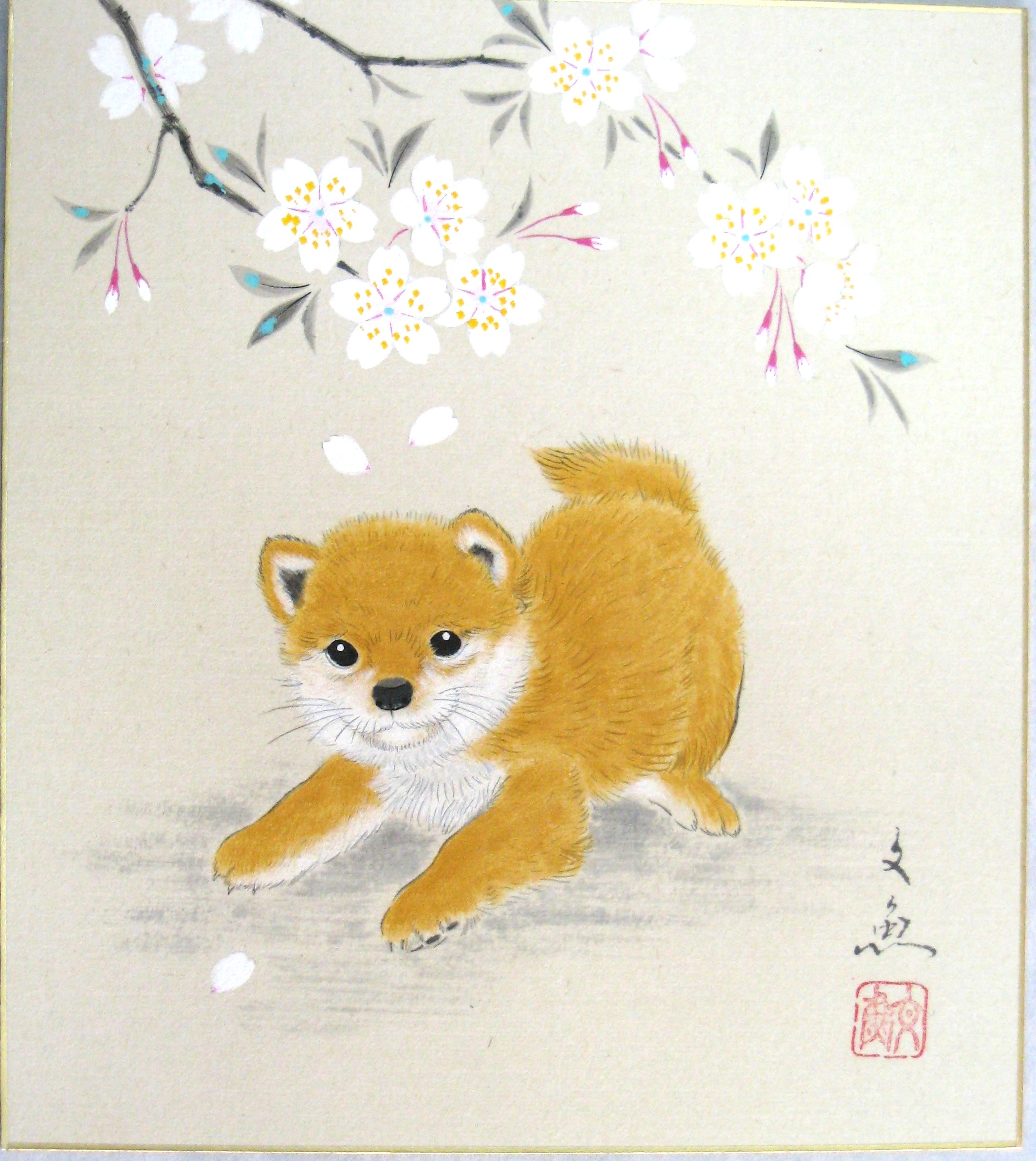 色紙　桜に豆柴◆中谷文魚