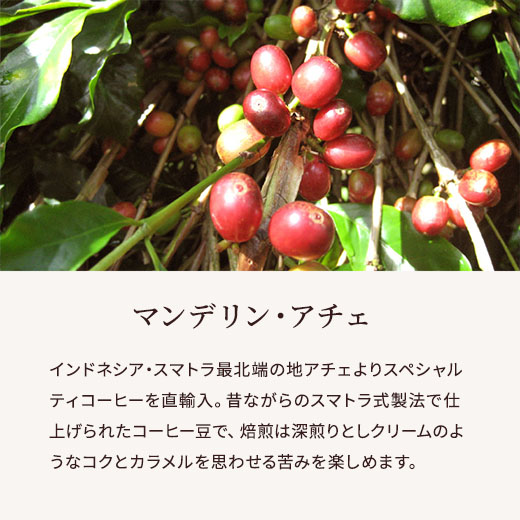 マンデリン・アチェ　説明サブ