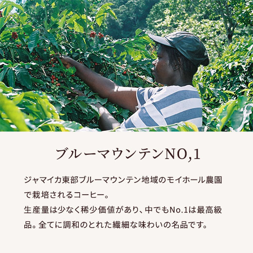 コーヒーギフト | ブルーマウンテンNo.1＆ハワイコナ・クイーン農園