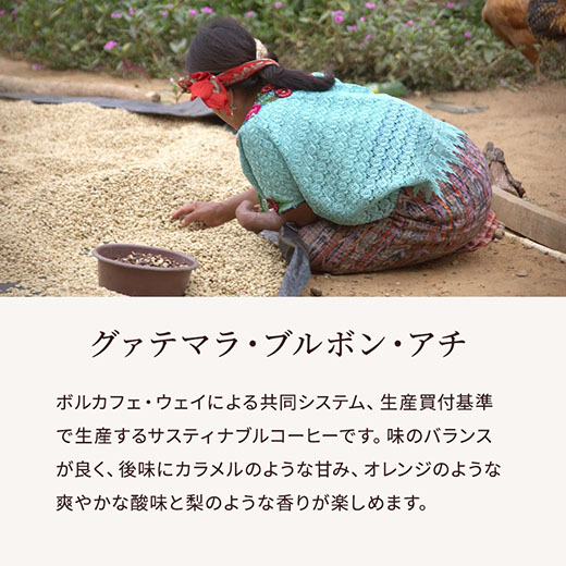 グァテマラブルボンアチ　説明サブ