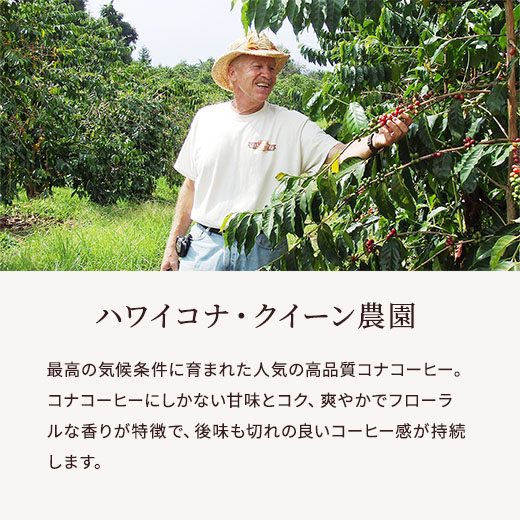 コーヒーギフト | ブルーマウンテンNo.1＆ハワイコナ・クイーン農園