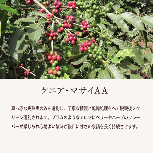 ケニアマサイ