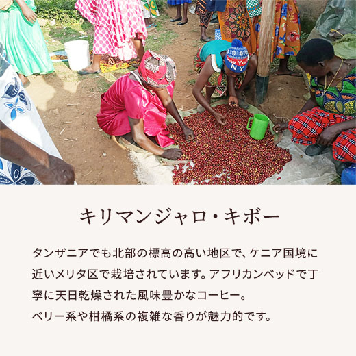 キリマンジャロ・キボー　説明サブ