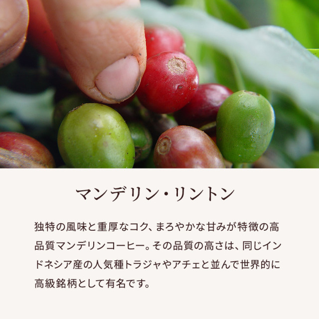 リントン　サブ